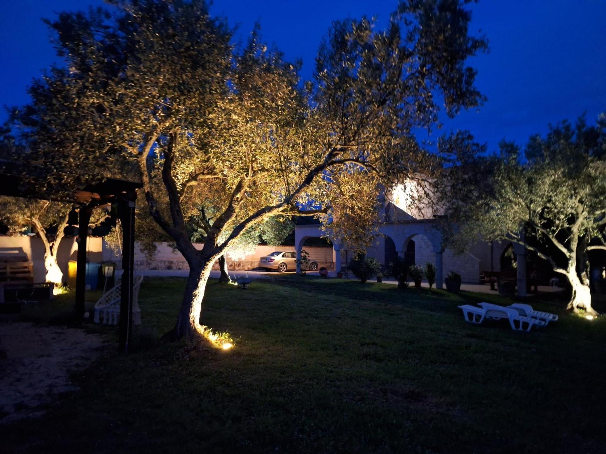 Apartment Olive Garden Vodnjan Exterior photo